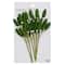 Paper Boxwood Leaf Embellishments by Recollections&#x2122;